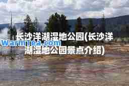 长沙洋湖湿地公园(长沙洋湖湿地公园景点介绍)