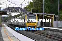 活力岛(活力岛地铁站)
