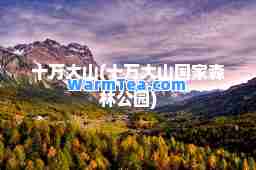 十万大山(十万大山国家森林公园)