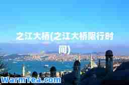 之江大桥(之江大桥限行时间)