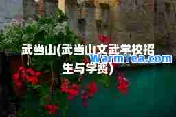 武当山(武当山文武学校招生与学费)