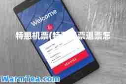 特惠机票(特惠机票退票怎么扣费)