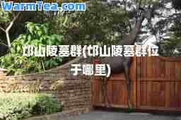 邙山陵墓群(邙山陵墓群位于哪里)