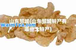 山东邹城(山东邹城特产有哪些土特产)