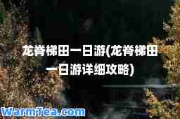 龙脊梯田一日游(龙脊梯田一日游详细攻略)