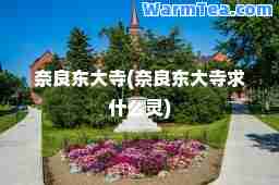 奈良东大寺(奈良东大寺求什么灵)