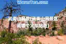 武夷山风景(武夷山风景区离哪个火车站近)