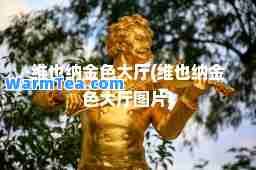 维也纳金色大厅(维也纳金色大厅图片)