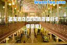 孟买酒店(孟买酒店幕后主使是谁)