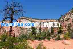 庐江旅游(庐江的景区)
