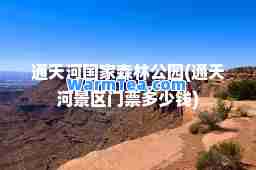 通天河国家森林公园(通天河景区门票多少钱)
