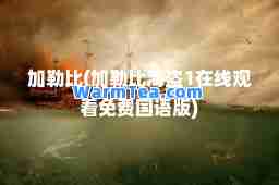 加勒比(加勒比海盗1在线观看免费国语版)