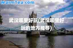 武汉哪里好玩(武汉哪里好玩的地方)
