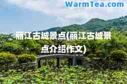 丽江古城景点(丽江古城景点介绍作文)