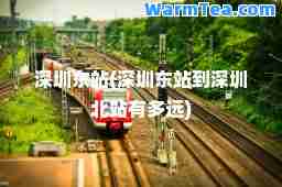 深圳东站(深圳东站到深圳北站有多远)