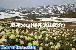 腾冲火山(腾冲火山简介)