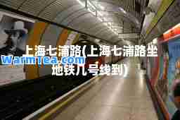 上海七浦路(上海七浦路坐地铁几号线到)
