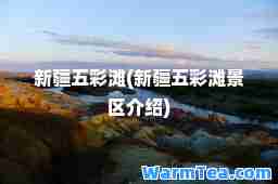 新疆五彩滩(新疆五彩滩景区介绍)