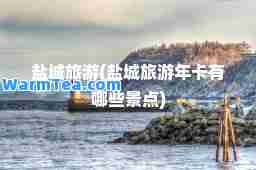 盐城旅游(盐城旅游年卡有哪些景点)