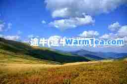 途牛(途牛旅游网)