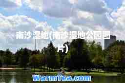南沙湿地(南沙湿地公园图片)