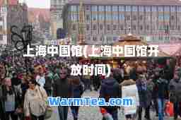 上海中国馆(上海中国馆开放时间)