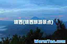 靖西(靖西旅游景点)