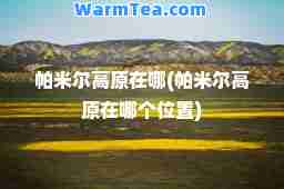 帕米尔高原在哪(帕米尔高原在哪个位置)