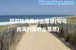可可托海是什么意思(可可托海的是什么意思)