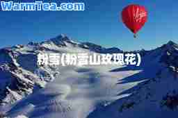 粉雪(粉雪山玫瑰花)
