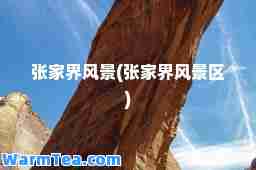 张家界风景(张家界风景区)