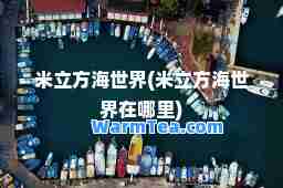 米立方海世界(米立方海世界在哪里)