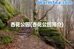 杏花公园(杏花公园简介)