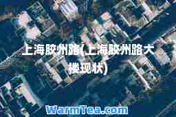 上海胶州路(上海胶州路大楼现状)