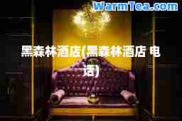 黑森林酒店(黑森林酒店 电话)
