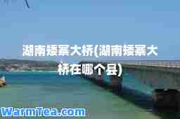 湖南矮寨大桥(湖南矮寨大桥在哪个县)