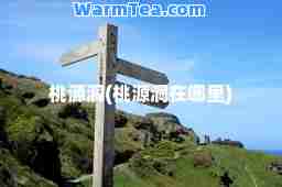 桃源洞(桃源洞在哪里)