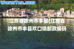 江苏省徐州市丰县(江苏省徐州市丰县欢口镇邮政编码)