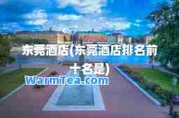 东莞酒店(东莞酒店排名前十名是)