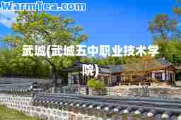 武城(武城五中职业技术学院)