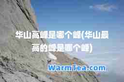 华山高峰是哪个峰(华山最高的峰是哪个峰)