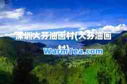 深圳大芬油画村(大芬油画村)