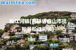 松江河镇(吉林省白山市抚松县松江河镇)