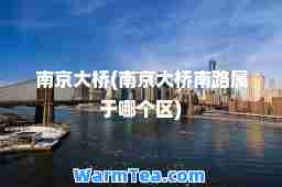 南京大桥(南京大桥南路属于哪个区)