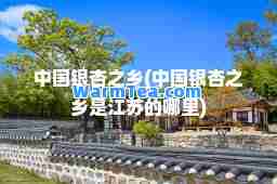 中国银杏之乡(中国银杏之乡是江苏的哪里)