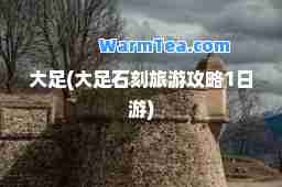 大足(大足石刻旅游攻略1日游)