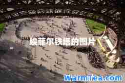 埃菲尔铁塔的图片