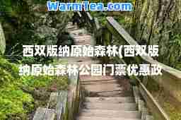 西双版纳原始森林(西双版纳原始森林公园门票优惠政策)