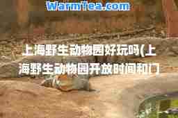 上海野生动物园好玩吗(上海野生动物园开放时间和门票费)