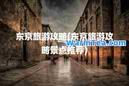 东京旅游攻略(东京旅游攻略景点)